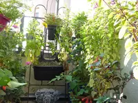 005.webp