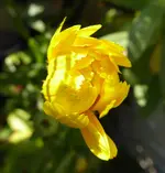 012.webp