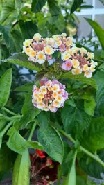 20240919_184140.webp