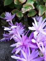 20240919_131526.webp