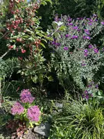 IMG_6493.webp
