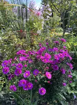 IMG_6497.webp