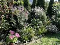 IMG_6496.webp