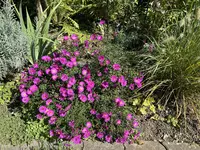 IMG_6495.webp