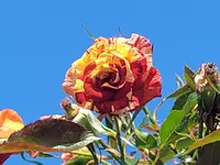 20240921_122819.webp