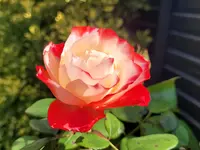 20240921_122501.webp