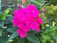 20240921_122254.webp
