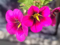 20240921_121954.webp