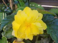 20240921_122322.webp