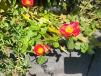 20240921_122427.webp