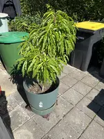 IMG_0104.webp IMG_0104.webp