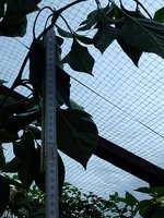 IMG_20240921_145623.jpg