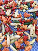 IMG_3617.jpeg