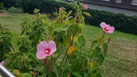 IMG-20240903-WA0000.webp