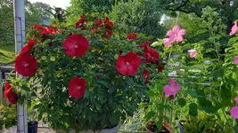 IMG-20240830-WA0004.webp