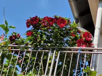 20240831_144631.webp