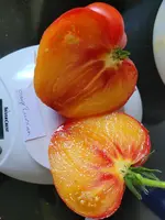 20240908_160352.webp