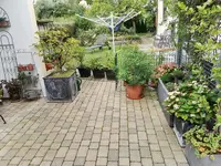 orangenblume1.webp