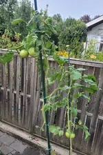 20240922_160524.webp