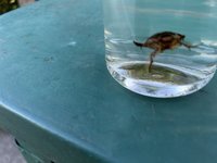 IMG_5405.jpeg