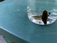IMG_5404.jpeg