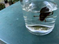 IMG_5406.jpeg