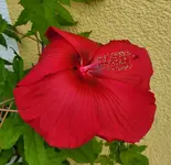 20240726_074903.webp