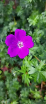 20240922_142102.webp