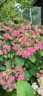 20240922_141654.webp