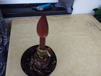 20240923_105739.jpg