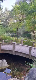 20240918_143038.webp