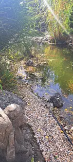20240918_145118.webp