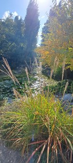 20240918_150327.jpg