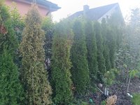 IMG_20240923_173124.jpg