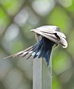 IMG_9083 v (2).webp