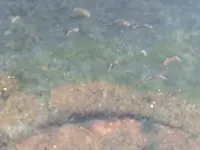 videoframe_12760.webp