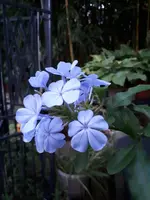 20240922_191429.webp
