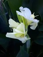 20240922_131500.webp