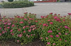 IMG_20240602_162649.webp