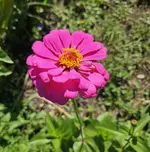 20240926_222608.webp