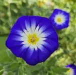 20240926_223318.webp