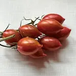 IMG_2510.jpeg
