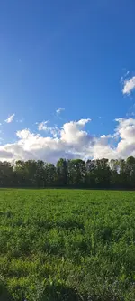 20240927_173018.webp