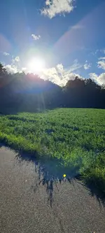 20240927_173054.webp