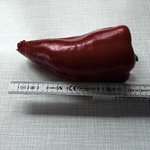 IMG_2569.jpeg