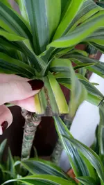 IMAG4898.webp