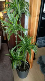 IMAG4901.webp
