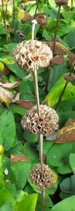 20240922_122402.webp
