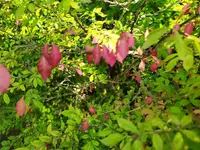 IMG_20240910_130556.webp