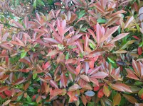IMG_20240408_192426.webp